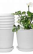 Image result for 6Cm Plant Pots
