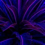 Image result for Purple Neon Plant