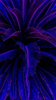 Image result for Plant Wallpaper Desktop Neon