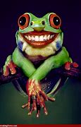Image result for LOL Frog