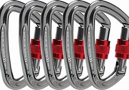 Image result for Carabiner Screw