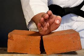 Image result for Bricks Fist Karate