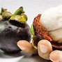 Image result for Mangosteen