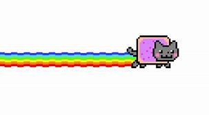 Image result for Nyan Cats Rainbow