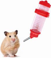 Image result for Hamster Water Bottle Holder
