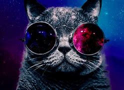 Image result for Galaxy Cat Desktop Wallpaper