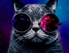Image result for Galaxy Wallpaper Cute Cat Funny