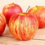 Image result for Dwarf Columnar Honeycrisp Apple Trees