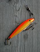 Image result for F11g 6Cm Lures