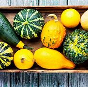 Image result for Squash