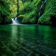 Image result for iPhone 11 Nature Wallpaper