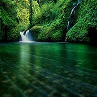 Image result for iPad Wallpaper Nature