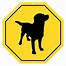 Image result for Caution or Warning Sign