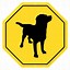Image result for Cartoon Caution Sign