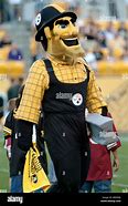 Image result for Pittsburgh Steelers Mascot