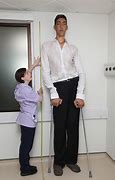 Image result for 2 Metre Tall People