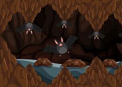 Image result for Cartoon Hanging Bats in a Bat Cave