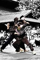 Image result for Martial Arts Banner