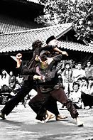 Image result for Martial Arts Illustrations