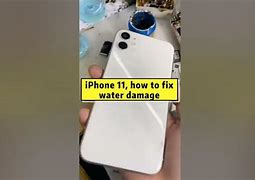Image result for iPhone 11 Water Damage