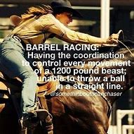 Image result for Horse Barrel Racing Memes