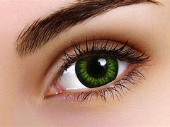 Image result for Green Bug Eye Contact Lenses