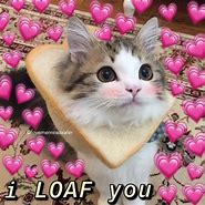 Image result for Cat Saying I Love You