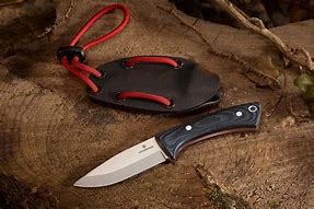 Image result for Inox Knives