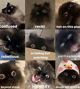 Image result for How Are You Feeling Nutural Meme