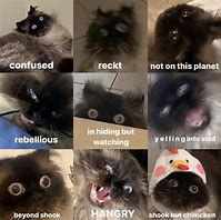 Image result for How Are You Feeling Today. Meme