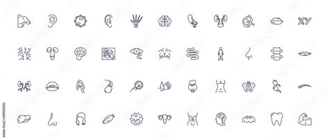 Image result for Weapon Back Script