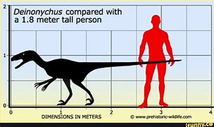 Image result for 1.8 Meters Tall