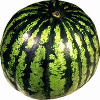 Image result for Green Equipment Rok Watermelon Meme