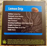 Image result for Lemon Drip Strain THC