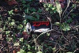 Image result for Coke Zero Max