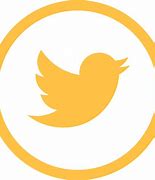 Image result for Twitter Logo Yellow