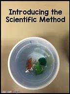 Image result for Scientific Method Experiments Examples