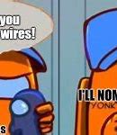 Image result for Cat Eating Wire Meme
