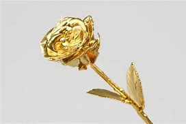 Image result for 24K Gold Rose
