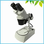 Image result for Cell Phone Camera and Stereo Binocular Microscope