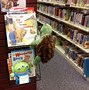 Image result for 1 Stuffed Animal