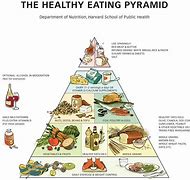 Image result for American Food Pyramid