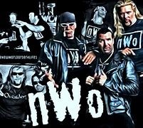 Image result for WCW/NWO Wrestling