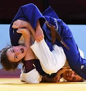 Image result for Judo Fighting Stance