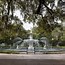 Image result for Savannah GA Things to Do