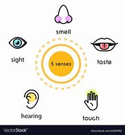 Image result for 5 Senses Hear