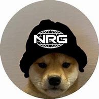 Image result for Doge Hat NRG