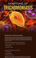 Image result for Stages Trichomoniasis