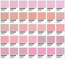 Image result for Dusty Pink Pantone