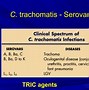Image result for Chlamydia Trachomatis Elementary Bodies